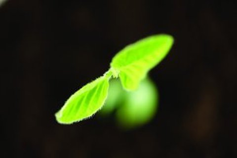 在有限资源下做好用户反馈的秘诀