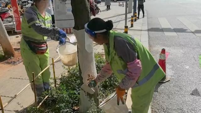 越冬“套餐”安排！这里的花坛、花雕美出新高度(图5)